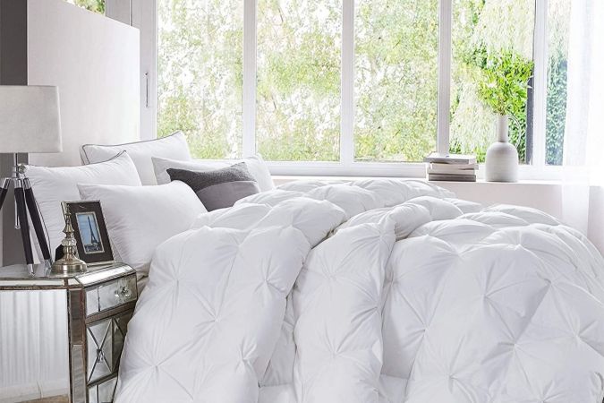 The Best Steamers for Bed Bugs of 2023