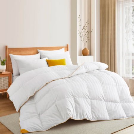  The Best Down Comforter Option: Alwyn Home All-Season Goose Down Comforter