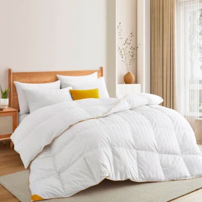 The Best Down Comforter Option: Alwyn Home All-Season Goose Down Comforter