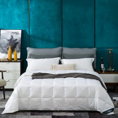  The Best Down Comforter Option: Globon Texcote Summer Down Comforter
