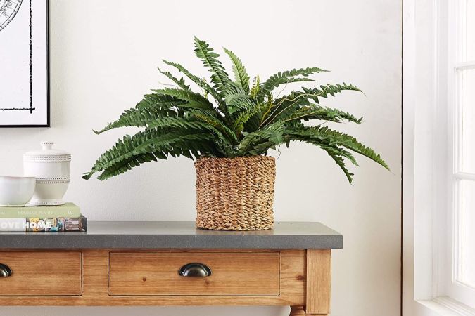 The Best Fake Plants for Home Decor