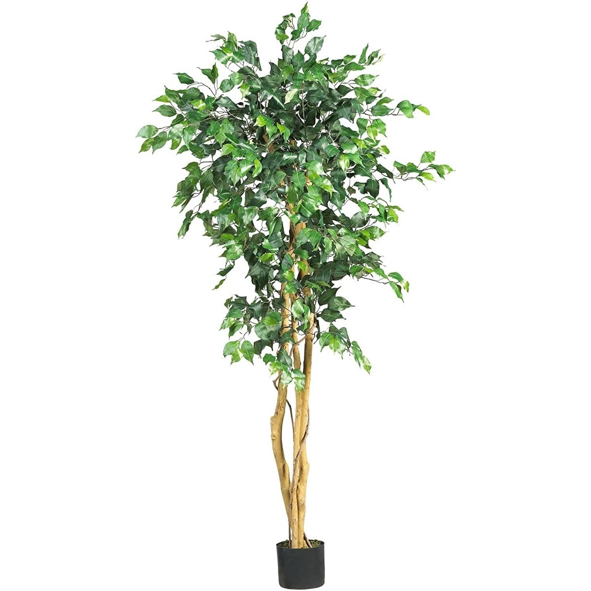 Nearly Natural 6ft. Ficus Artificial Trees