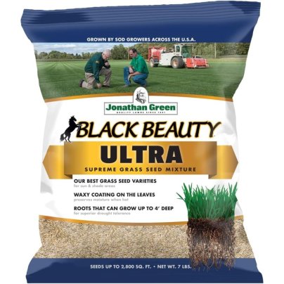 Jonathan Green Black Beauty Ultra Grass Seed