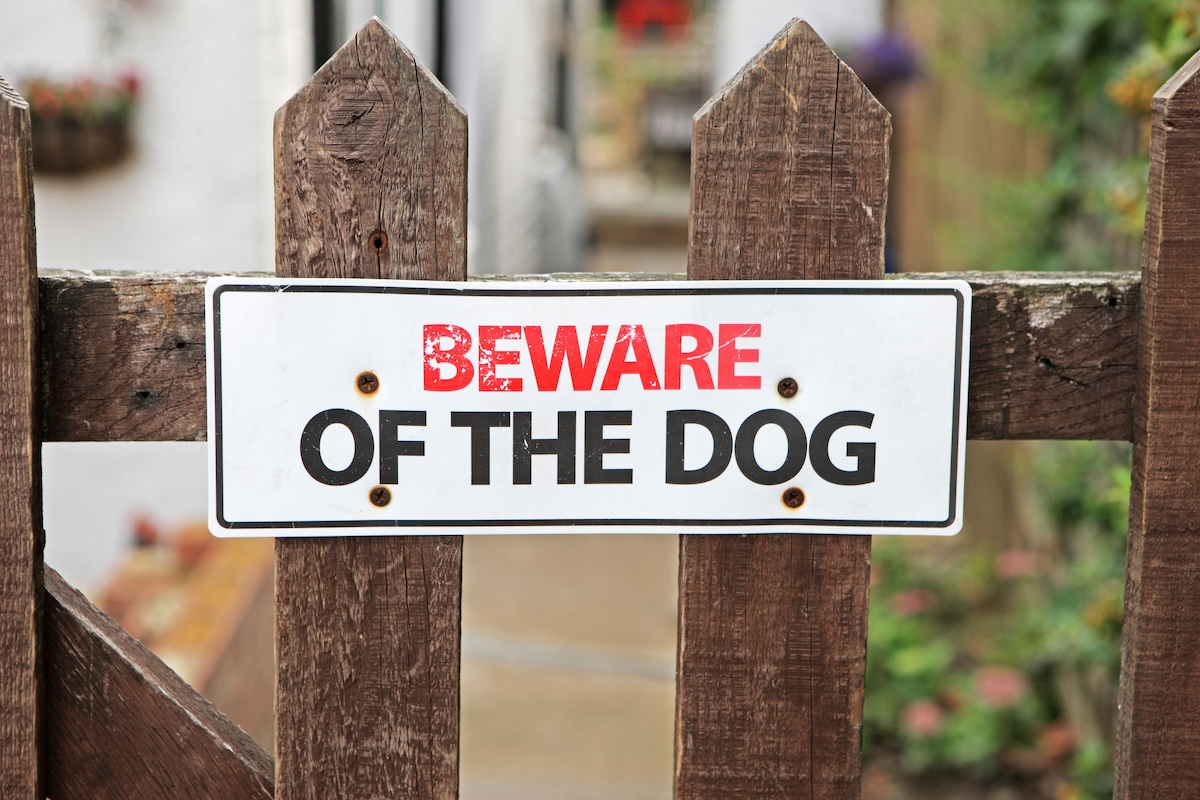A picket fence with a sign reading "Beware of the Dog."