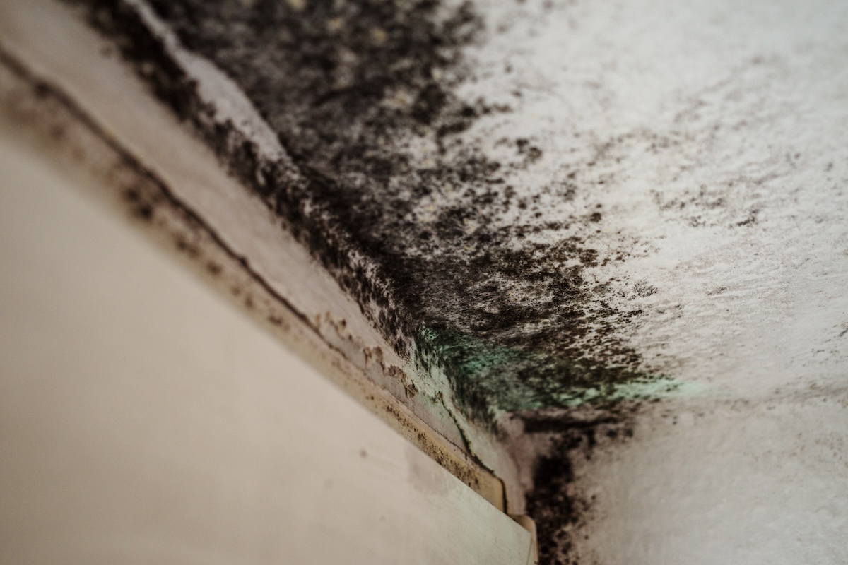 The corner of a ceiling with spots of black mold.