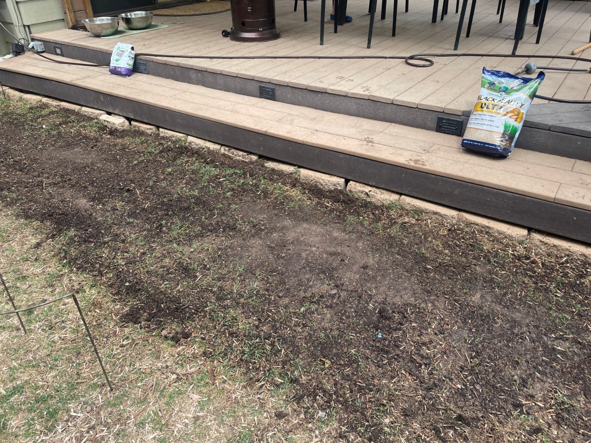 preparing shady side for seeding