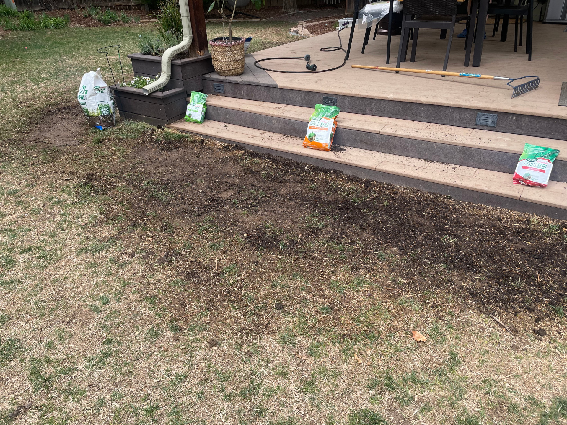 preparing sunny side for seeding