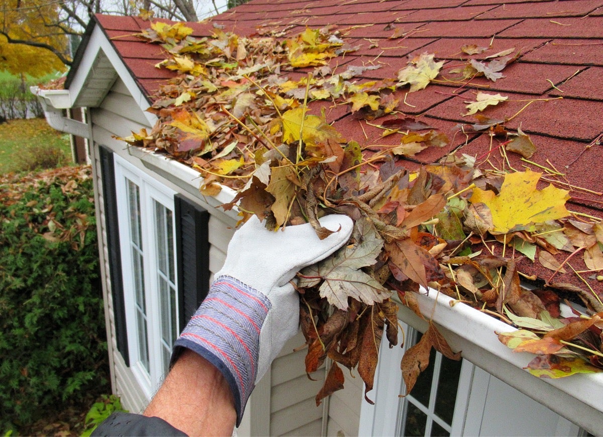 Gutter Cleaning: Protecting Your Home One Clean Gutter at a Time