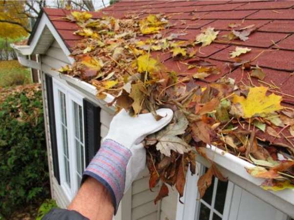 9 Tips to Clean Your Gutters Without Breaking a Sweat