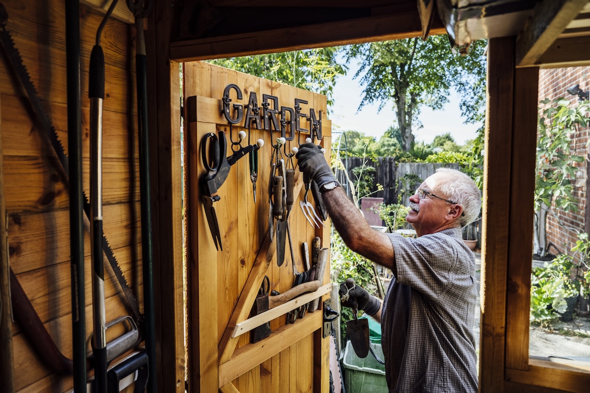A man chooses garden tools from inside a shed.