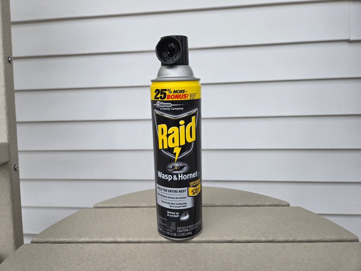 Raid Wasp and Hornet Spray set up on table