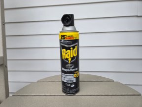 Raid Wasp and Hornet Spray set up on table