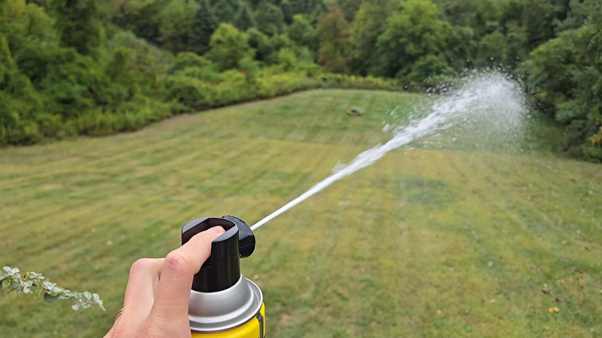 Raid Wasp and Hornet Spray being sprayed