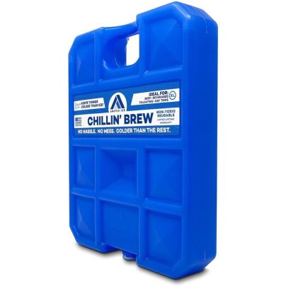 The Best Ice Pack for Cooler Option: Arctic Ice Long Lasting Ice Pack for Coolers