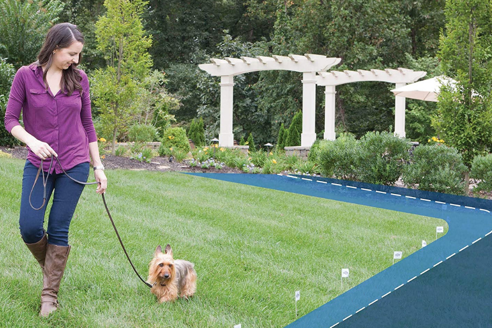 The Best Invisible Dog Fences Options