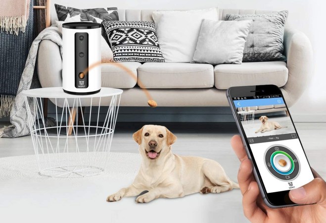 The Best Pet Cameras for Keeping Tabs on Furry Family Members