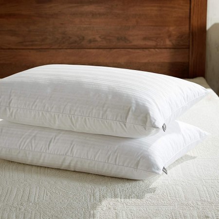 downluxe Goose Feather Down Pillow (Set of 2)