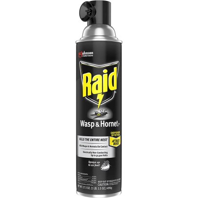 The Best Wasp Spray Options: Raid Wasp and Hornet Killer, 17.5 OZ
