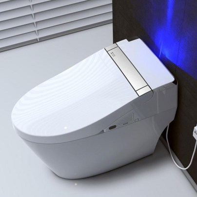 The Best Dual Flush Toilet Option: WOODBRIDGE Venezia Intelligent Dual Flush Toilet