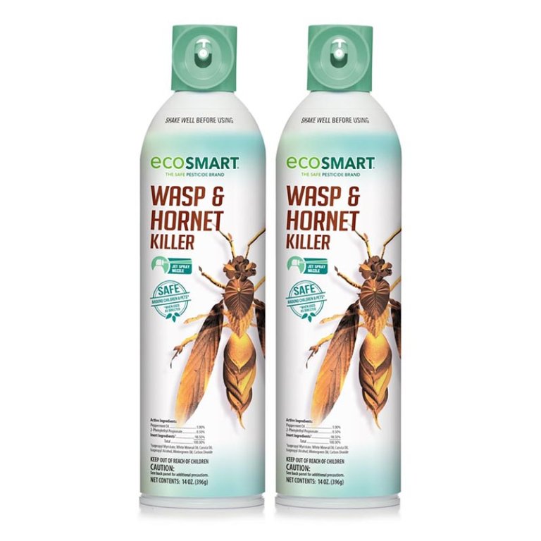 The Best Wasp Spray Option EcoSmart Wasp & Hornet Killer