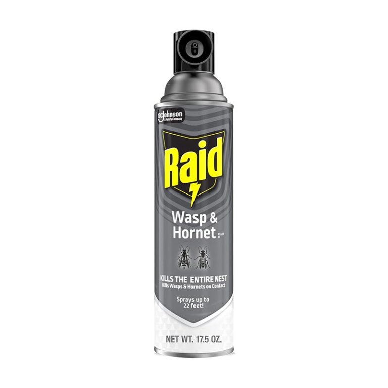 The Best Wasp Spray Option Raid Wasp & Hornet Killer