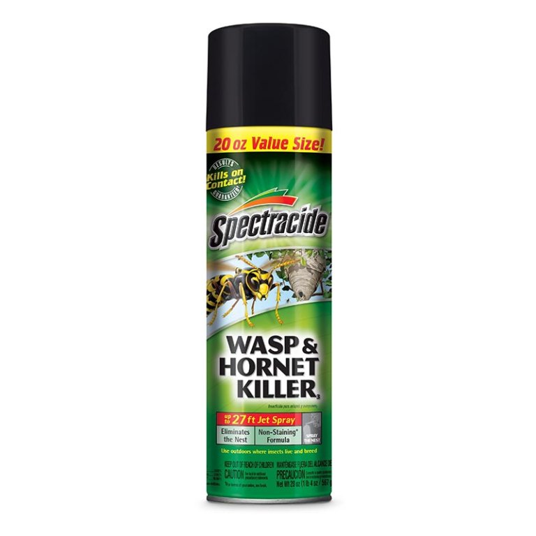 The Best Wasp Spray Option Spectracide Wasp & Hornet Killer