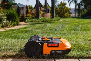 Robot lawn mower on grass