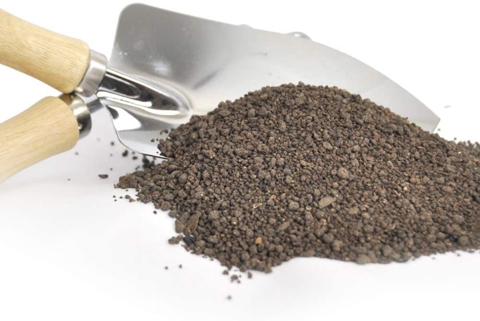 The Best Rose Fertilizer Bob Vila