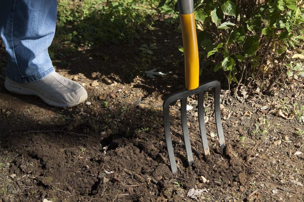 The Garden Fork Option