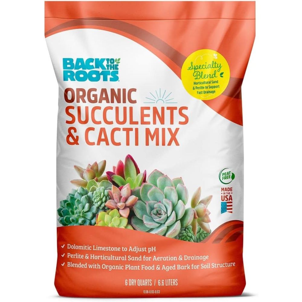 The Best Soils for Succulents - Picks from Bob Vila