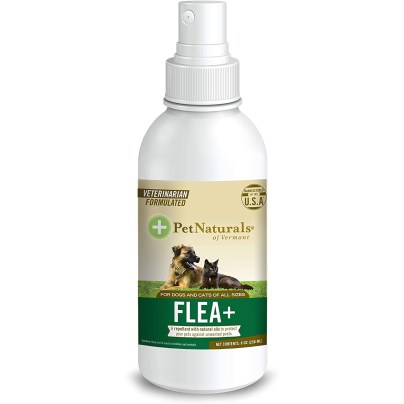 The Best Flea Spray Option: Pet Naturals of Vermont – FLEA + TICK Repellent Spray