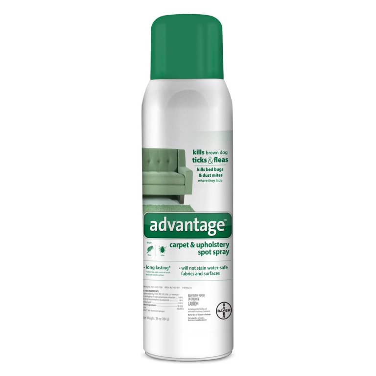  The Best Flea Spray Option: Advantage Carpet and Upholstery Spot Spray