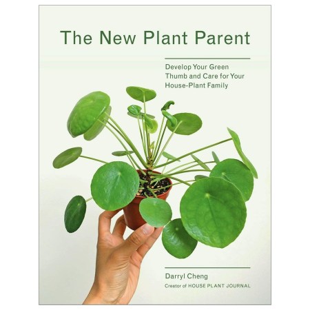New Plant Parent: Develop Your Green Thumb