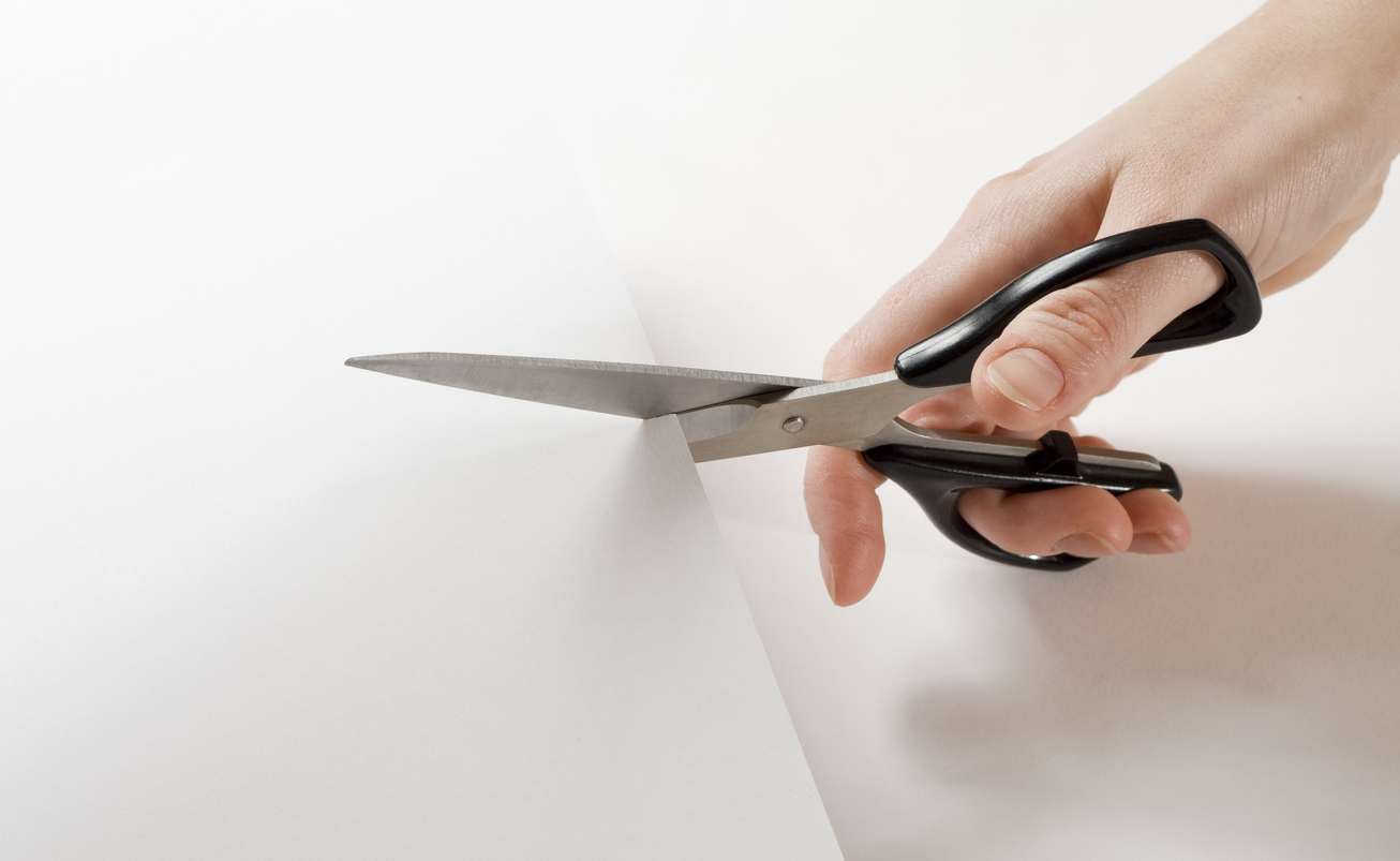 The Best Scissors for Cutting Paper and More