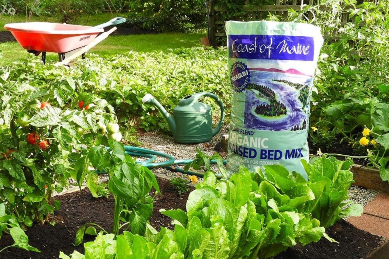 The Best Soil for Raised Beds of 2026 -- Expert Picks