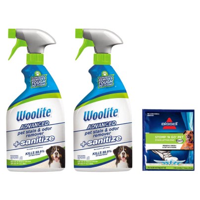 The Best Carpet Deodorizer Option: Woolite Advanced Pet Stain & Odor Remover
