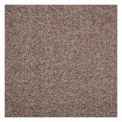 The Best Carpet for Pets Option: Lifeproof Playful Moments II Textured Carpet