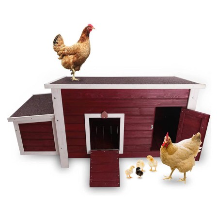 Petsfit Weatherproof Chicken Coop with Nesting Box