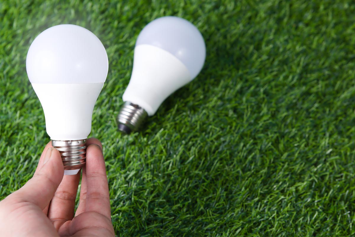 Two of the best smart light bulbs on artificial turf