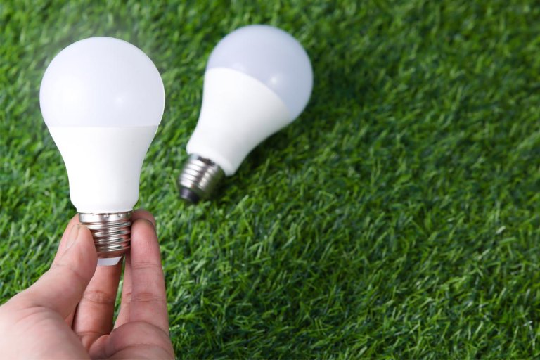 Two of the best smart light bulbs on artificial turf