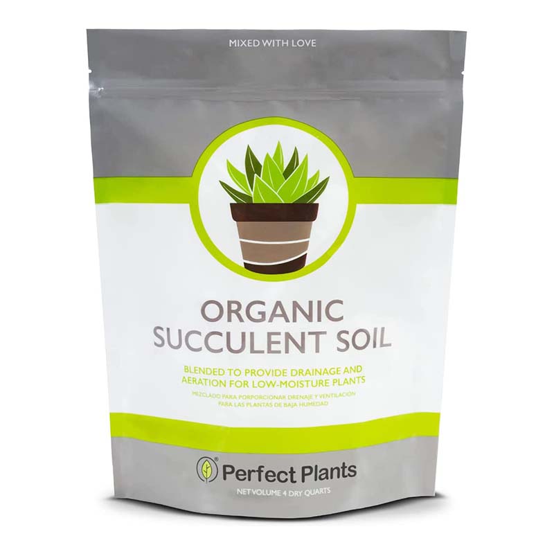 The Best Soils for Succulents - Picks from Bob Vila