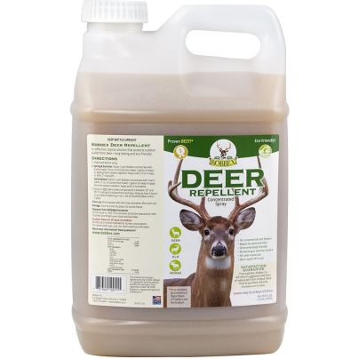 The Best Deer Repellent Option: Bobbex Concentrated Deer Repellent Concentrate