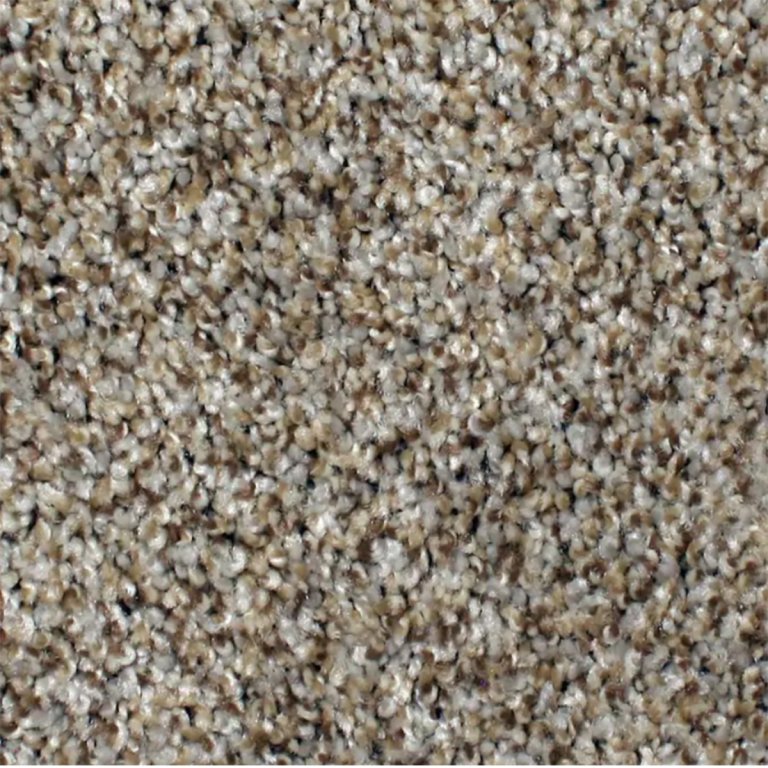  Best Carpet for Pets Options: STAINMASTER PetProtect Textured Carpet