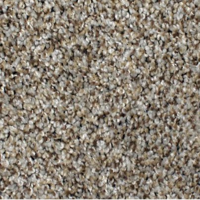 Best Carpet for Pets Options: STAINMASTER PetProtect Textured Carpet