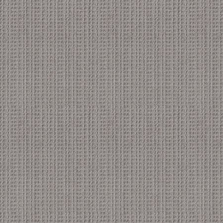  Best Carpet for Pets Options: Shaw Floors Subtle Aura