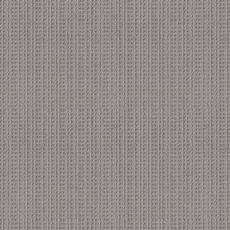  Best Carpet for Pets Options: Shaw Floors Subtle Aura