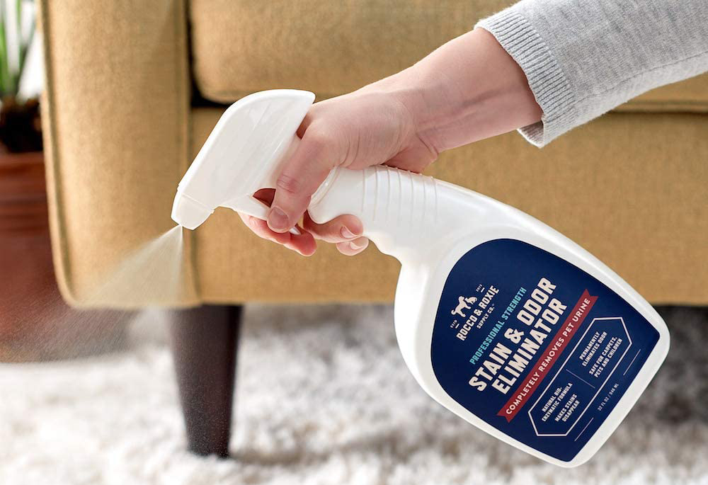 Best Pet Stain Remover Options