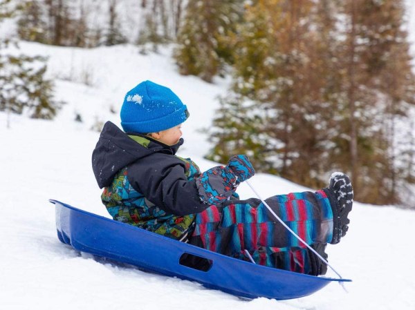 The Best Sleds for Snowy Days