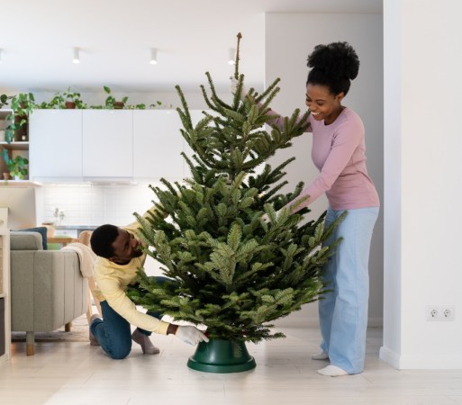 Young couple setting up live tree.