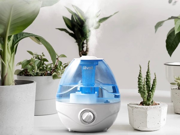 The Best Humidifiers for Plants of 2023